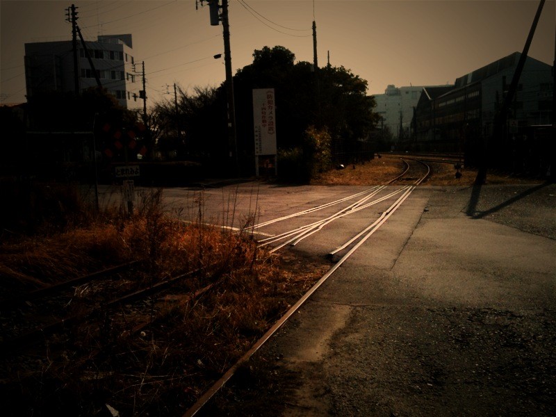 f:id:goldhead:20100131184315j:image f:id:goldhead:20100131184315j:image
