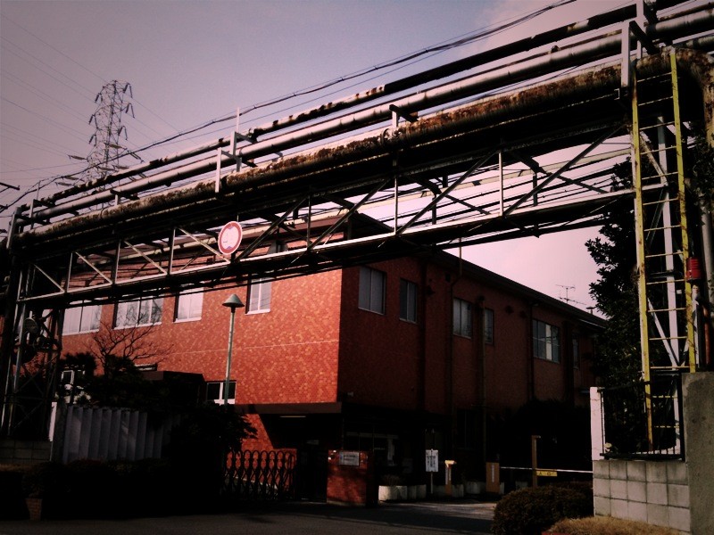 f:id:goldhead:20100131184316j:image f:id:goldhead:20100131184316j:image