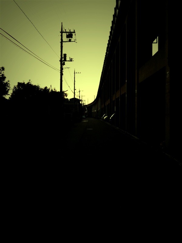 f:id:goldhead:20100131184325j:image f:id:goldhead:20100131184325j:image