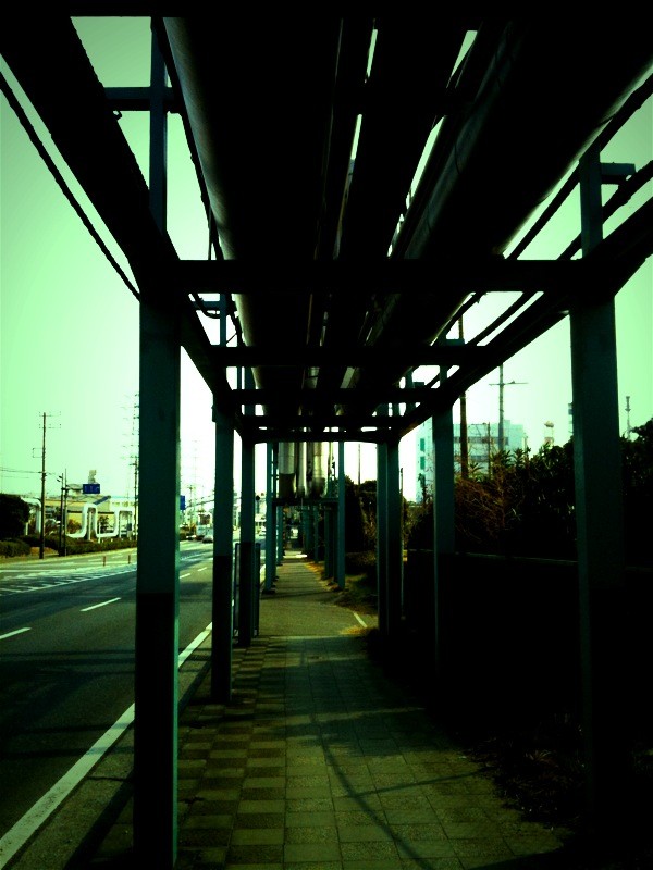 f:id:goldhead:20100131184326j:image f:id:goldhead:20100131184326j:image