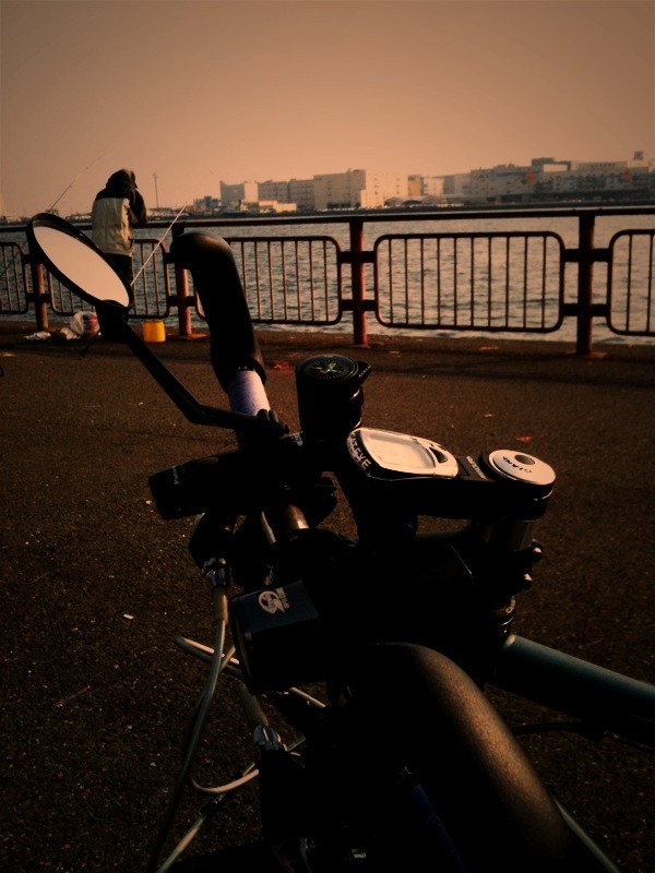 f:id:goldhead:20100131184333j:image f:id:goldhead:20100131184333j:image