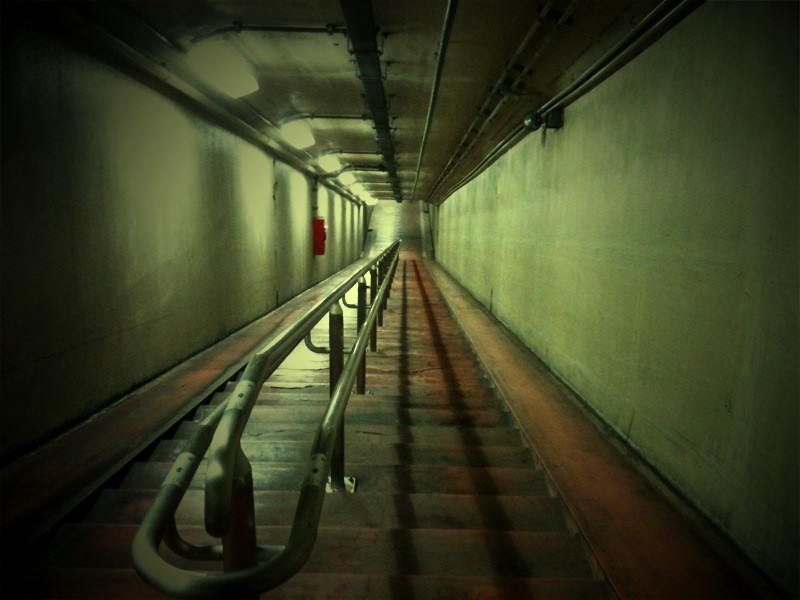 f:id:goldhead:20100131184337j:image f:id:goldhead:20100131184337j:image