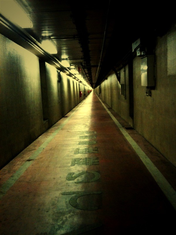 f:id:goldhead:20100131184338j:image f:id:goldhead:20100131184338j:image