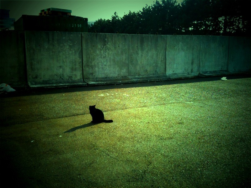 f:id:goldhead:20100131184343j:image f:id:goldhead:20100131184343j:image