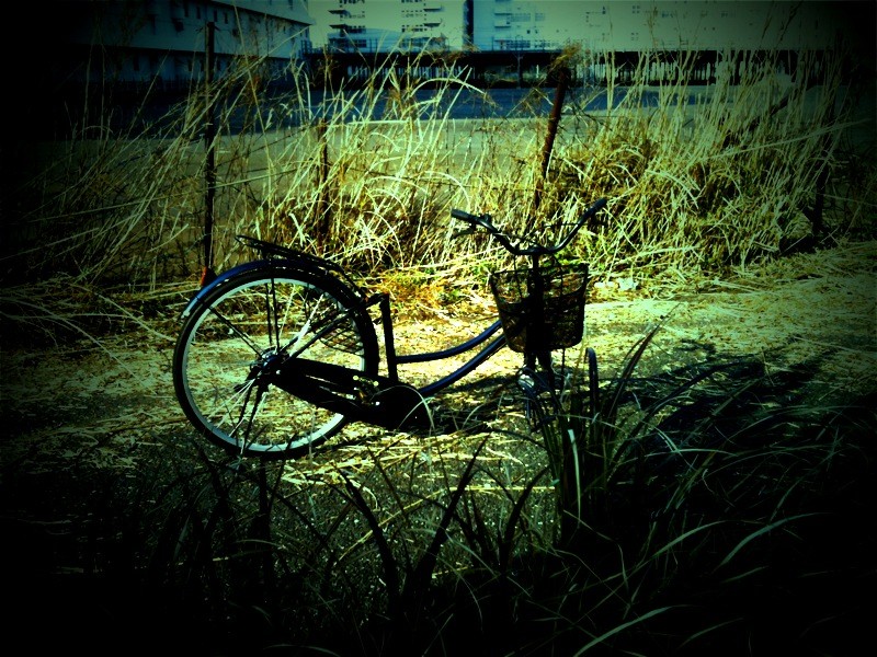 f:id:goldhead:20100131184345j:image f:id:goldhead:20100131184345j:image