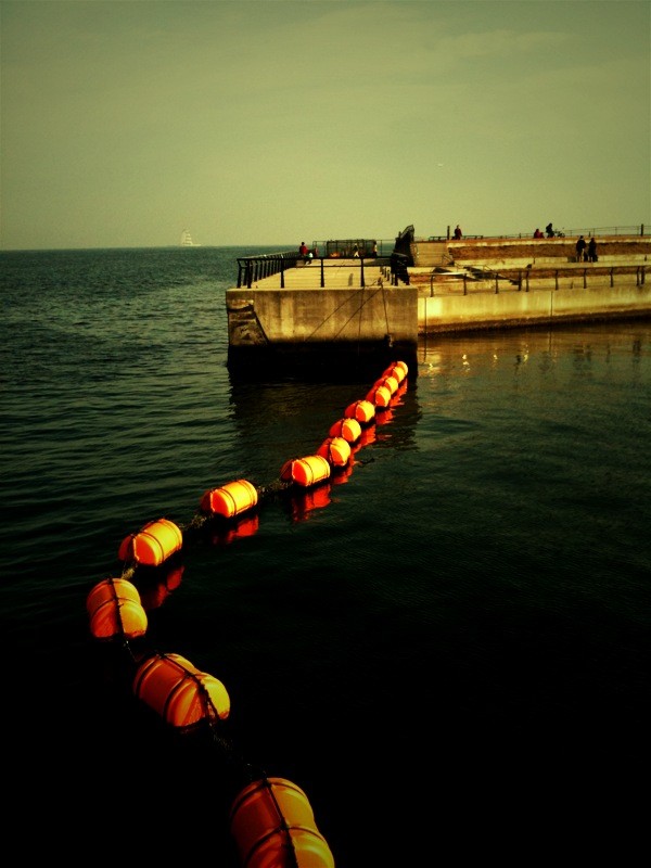 f:id:goldhead:20100131184348j:image f:id:goldhead:20100131184348j:image