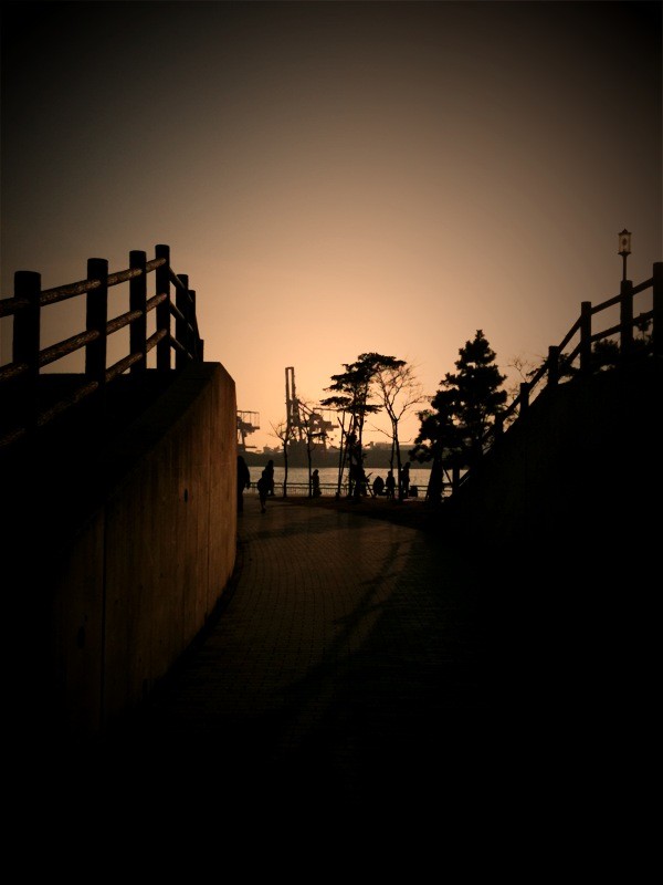 f:id:goldhead:20100131184352j:image f:id:goldhead:20100131184352j:image