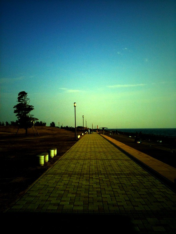 f:id:goldhead:20100131184353j:image f:id:goldhead:20100131184353j:image
