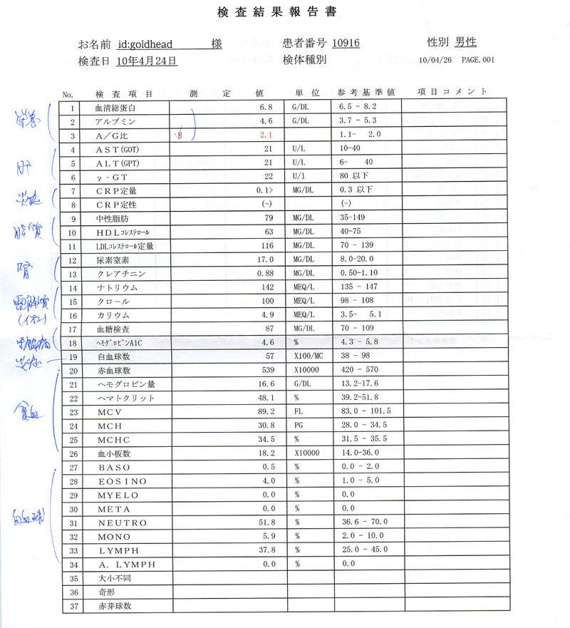 f:id:goldhead:20100426131643j:image