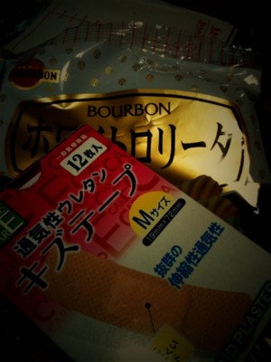 f:id:goldhead:20100501084150j:image:left