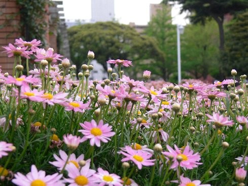 f:id:goldhead:20100503233343j:image f:id:goldhead:20100503233343j:image