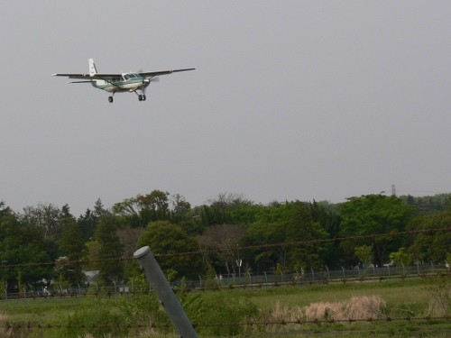 f:id:goldhead:20100505004924j:image f:id:goldhead:20100505004924j:image