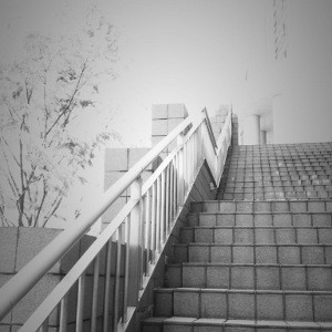 f:id:goldhead:20100509144049j:image f:id:goldhead:20100509144049j:image