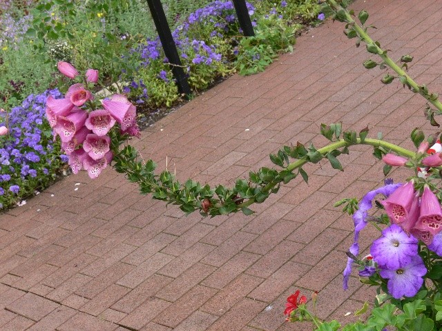 f:id:goldhead:20100523022336j:image
