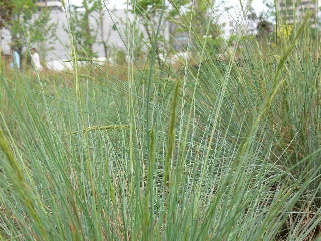 f:id:goldhead:20100523030118j:image f:id:goldhead:20100523030118j:image