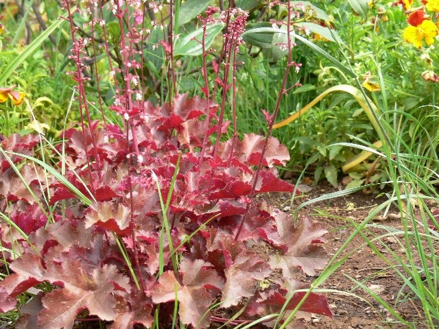 f:id:goldhead:20100523030519j:image f:id:goldhead:20100523030519j:image