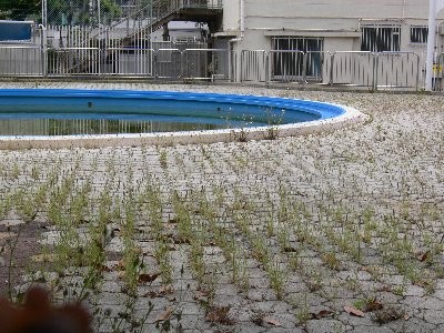 f:id:goldhead:20100523180255j:image