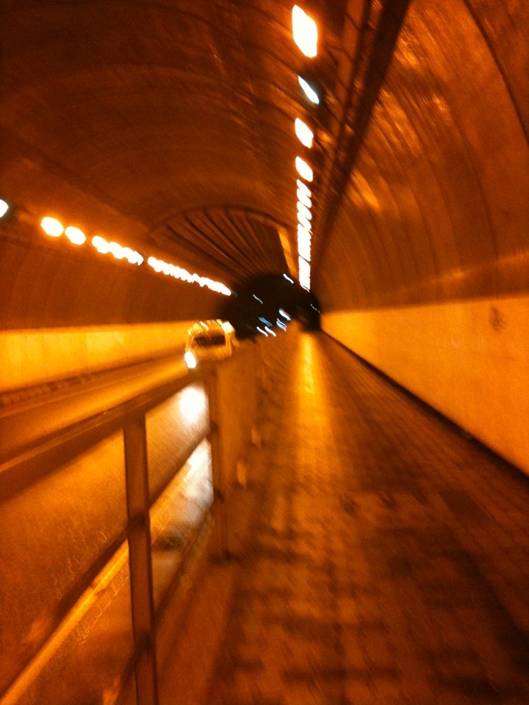 f:id:goldhead:20100526232241j:image:right:w300 f:id:goldhead:20100526232241j:image:right:w300