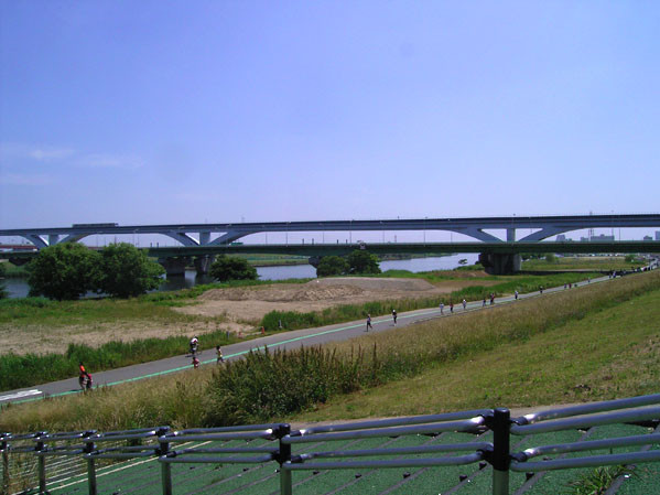 f:id:goldhead:20100607125430j:image