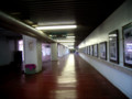 20100607130654