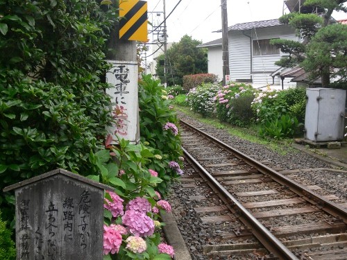 f:id:goldhead:20100627114510j:image f:id:goldhead:20100627114510j:image