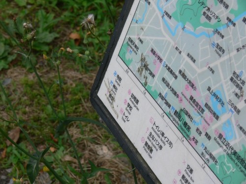 f:id:goldhead:20100627122828j:image f:id:goldhead:20100627122828j:image