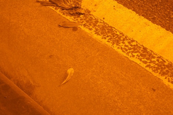 f:id:goldhead:20100707001005j:image