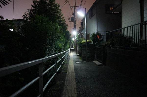 f:id:goldhead:20100707001014j:image