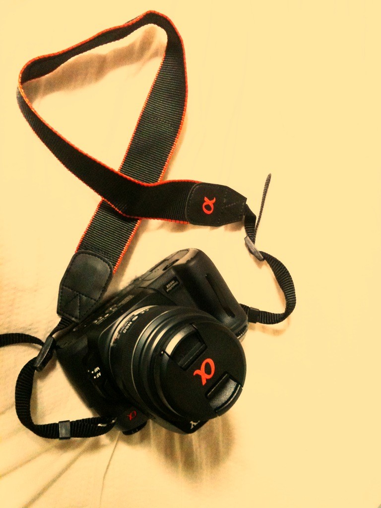 f:id:goldhead:20100707215324j:image:w400 f:id:goldhead:20100707215324j:image:w400