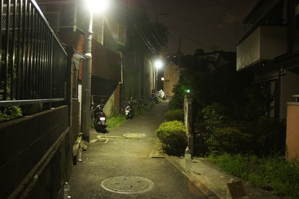 f:id:goldhead:20100708234532j:image