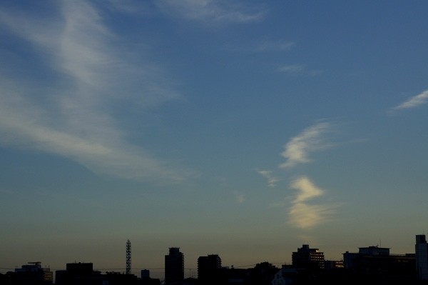 f:id:goldhead:20100710114945j:image