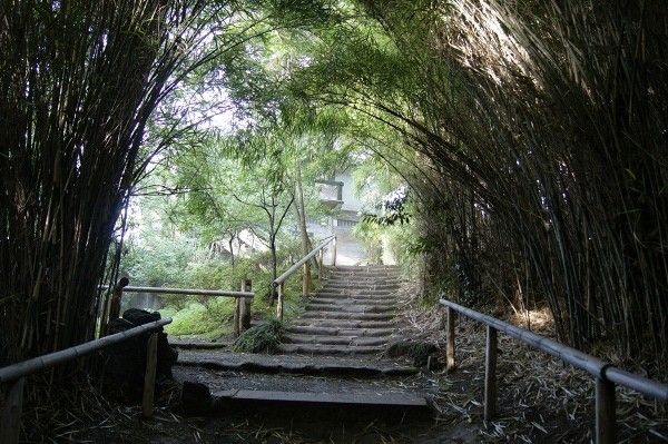 f:id:goldhead:20100710120303j:image