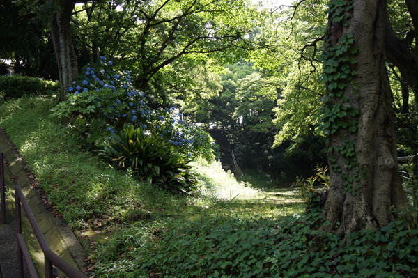 f:id:goldhead:20100715124343j:image f:id:goldhead:20100715124343j:image