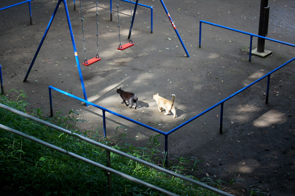 f:id:goldhead:20100715124435j:image f:id:goldhead:20100715124435j:image