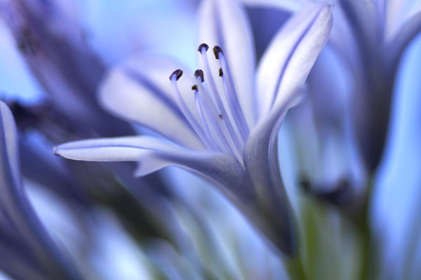f:id:goldhead:20100716130050j:image