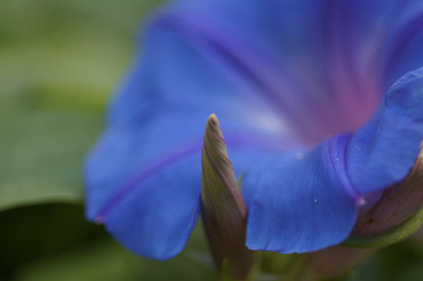 f:id:goldhead:20100716130420j:image