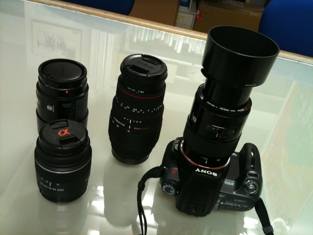 f:id:goldhead:20100716130534j:image:w300