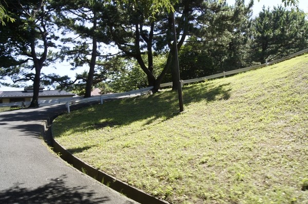 f:id:goldhead:20100719234542j:image