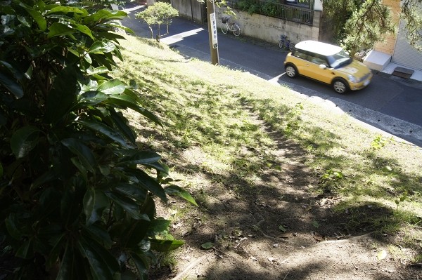 f:id:goldhead:20100720001045j:image f:id:goldhead:20100720001045j:image