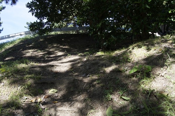f:id:goldhead:20100720001047j:image