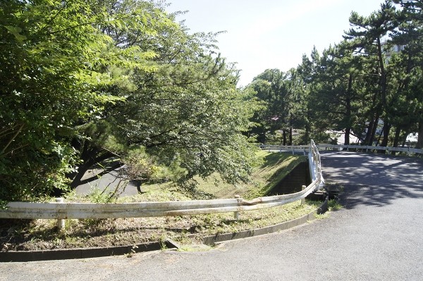 f:id:goldhead:20100720002351j:image