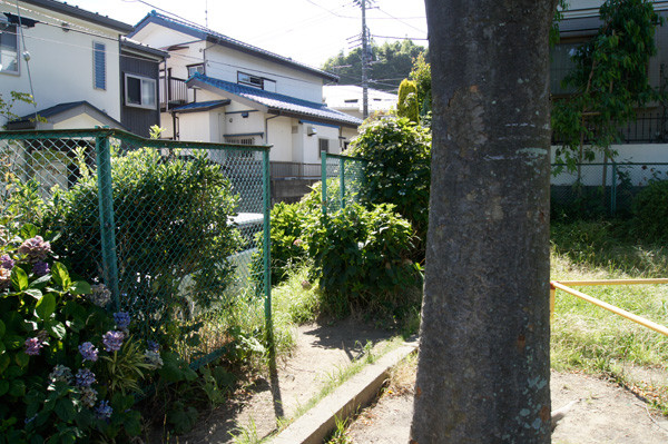 f:id:goldhead:20100721125022j:image f:id:goldhead:20100721125022j:image