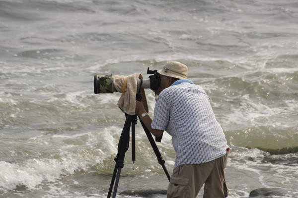 f:id:goldhead:20100801210533j:image