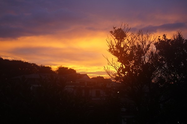 f:id:goldhead:20100808203318j:image