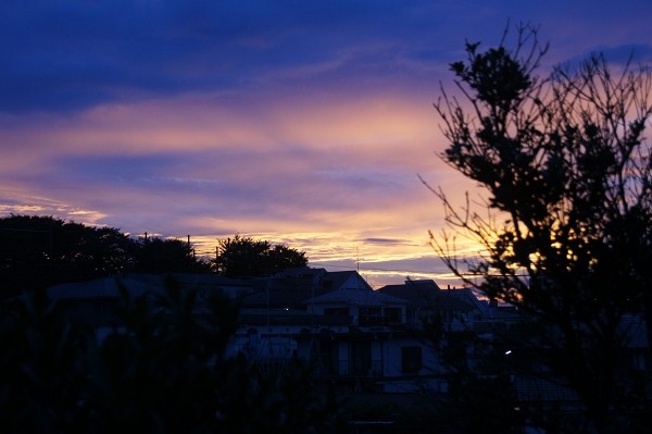 f:id:goldhead:20100808203319j:image