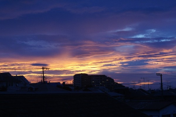 f:id:goldhead:20100808203321j:image