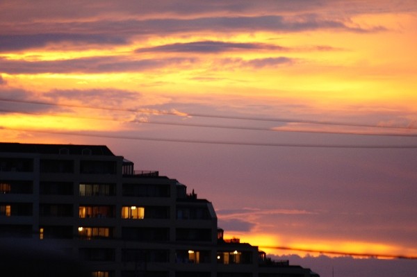 f:id:goldhead:20100808203323j:image