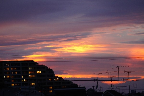 f:id:goldhead:20100808203325j:image