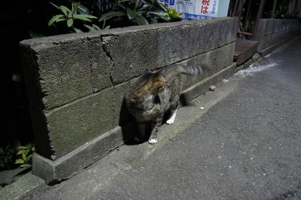 f:id:goldhead:20100810001919j:image
