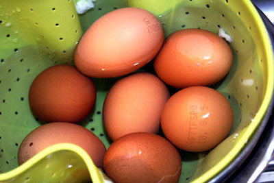 f:id:goldhead:20100813123034j:image